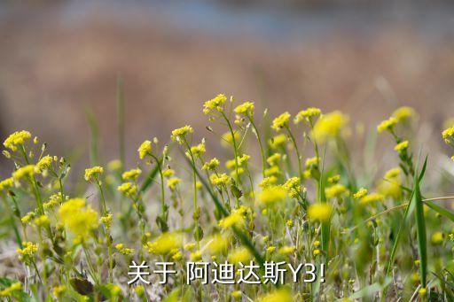 阿迪達斯外套女裝圖片,日本設計師阿迪達斯新品牌正式進入中國...
